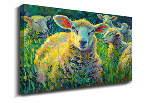 Sheep Canvas Art