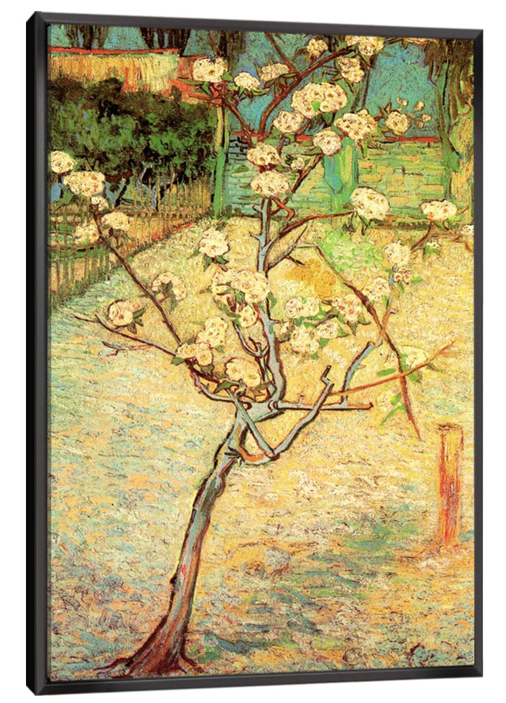 Blossoming Pear Tree Canvas Art