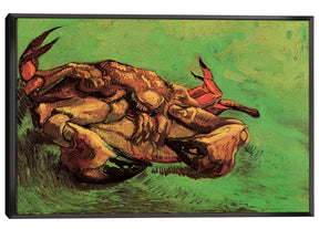 Crab on Its Back Canvas Art