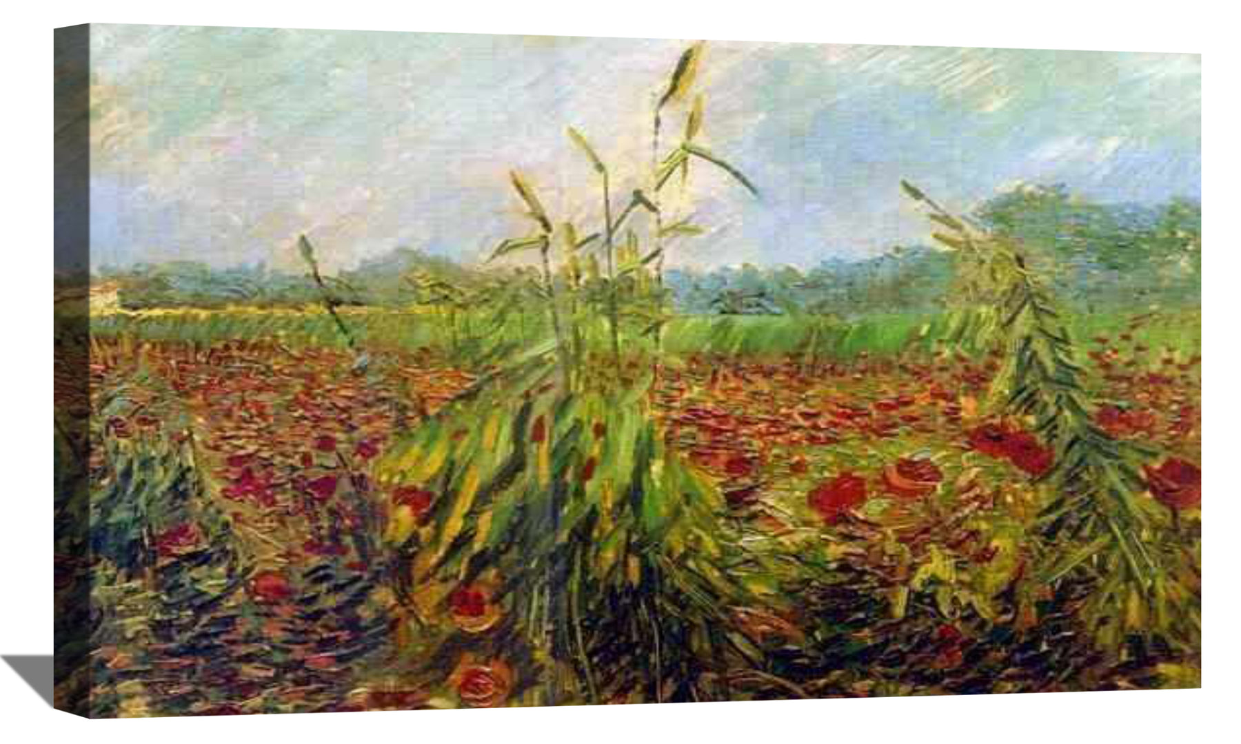 Green Ears of Wheat Canvas Art