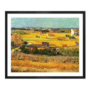 Van Gogh Art Lane In Garden