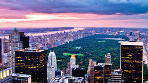 Central Park Canvas Art