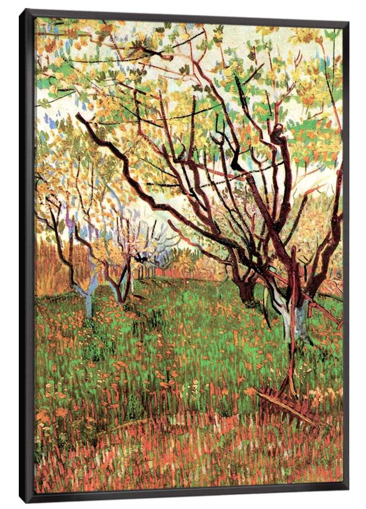 Orchard in Blossom Canvas Art