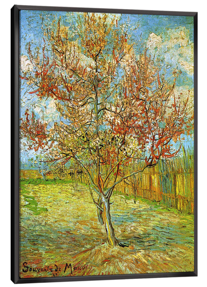 Pink Peach Tree In Blossom Reminiscence Of Mauve Canvas Art