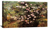 Rosebush in Blossom Canvas Art