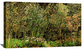 The Grove Canvas Art