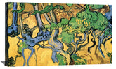 Tree Roots and Trunks Canvas Art