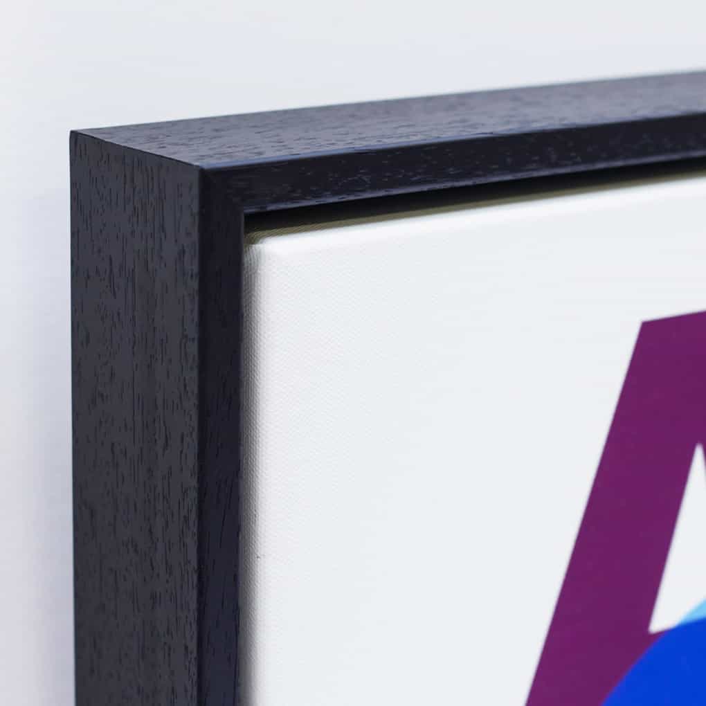 Jump Over Canvas Art