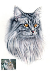 Photo To Colorful Sketch