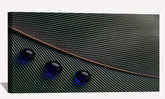 Feather Water Droplets Canvas Art