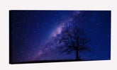 Person Beside Bare Tree Canvas Art