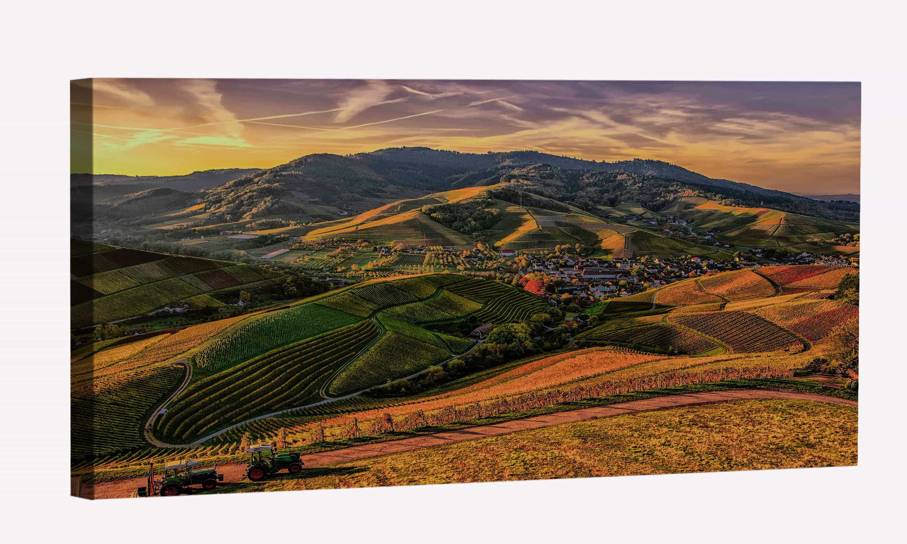 Terrace Canvas Art