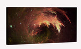 Volcanic Coral Canvas Art